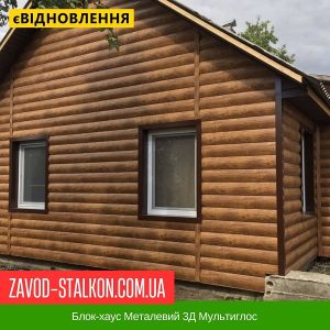 ціна Блок-хаус Металевий 3Д Мультиглос Івано-Франківськ
