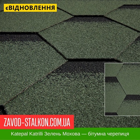 ціна Катепал Katrilli Зелень мохова - бітумна Гнучка черепиця Івано-Франківськ