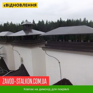ціна Ковпак для димоходу - №6 Івано-Франківськ