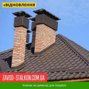 ціна Ковпак для димоходу - №9 Івано-Франківськ