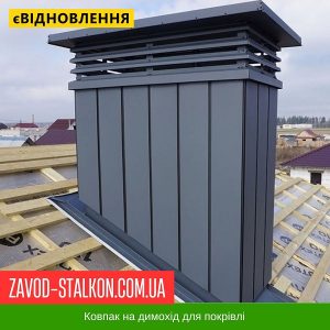 ціна Ковпак для димоходу - Матовий Івано-Франківськ