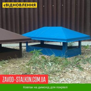 ціна Ковпак димоходу - Ral 5005