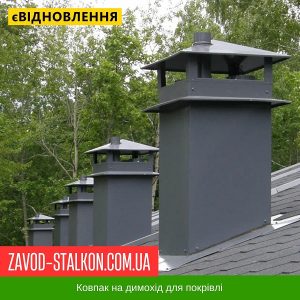 ціна Ковпак димоходу - Ral 7024 Івано-Франківськ