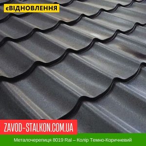 ціна на Металочерепиця 8019 Ral – Колір Темно-Коричневий в Івано-Франківську