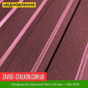 ціна Профнастил Металопрофіль Крупний Мат 0,45 мм - Ral 3005 Івано-Франківськ
