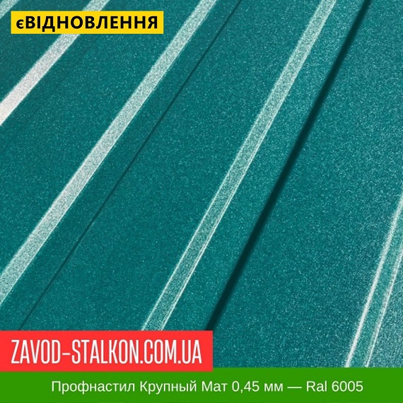 ціна Профнастил Металопрофіль Крупний Мат 0,45 мм - Ral 6005 Івано-Франківськ