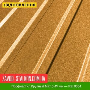 ціна Профнастил Металопрофіль Крупний Мат 0,45 мм - Ral 8004 Івано-Франківськ