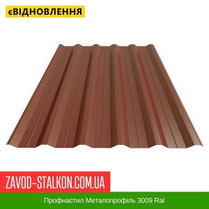 ціна Профнастил Металопрофіль 3009 Ral Івано-Франківськ