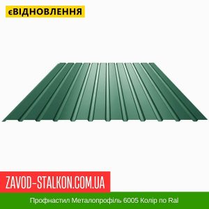 ціна Профнастил Металопрофіль 6005 Колір по Ral Івано-Франківськ