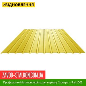 ціна Профнастил Металопрофіль для паркану 2 метра – Ral 1003 Івано-Франківськ