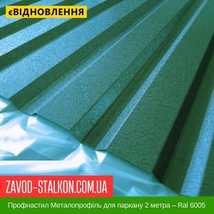 ціна Профнастил Металопрофіль для паркану 2 метра – Ral 6005 Івано-Франківськ