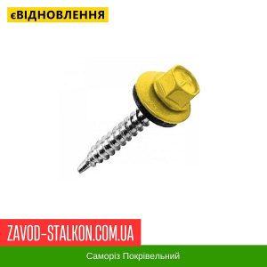 ціна Саморіз Покрівельний по дереву 4,8*35 мм - RAL 1003 Івано-Франківськ