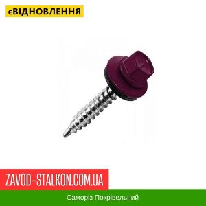 ціна Саморіз Покрівельний по дереву 4,8*35 мм - RAL 3005 Івано-Франківськ