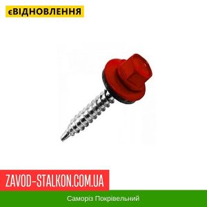 ціна Саморіз Покрівельний по дереву 4,8*35 мм - RAL 3011 Івано-Франківськ