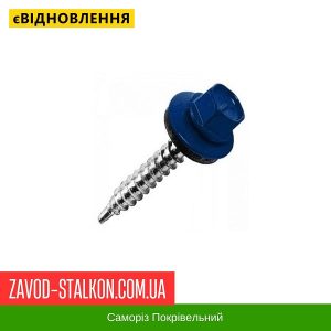 ціна Саморіз Покрівельний по дереву 4,8*35 мм - RAL 5005 Івано-Франківськ