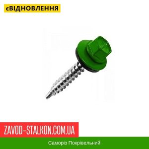 ціна Саморіз Покрівельний по дереву 4,8*35 мм - RAL 6002 Івано-Франківськ
