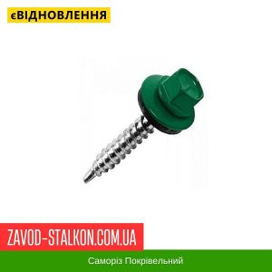 ціна Саморіз Покрівельний по дереву 4,8*35 мм - RAL 6005 Івано-Франківськ