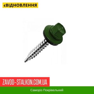 ціна Саморіз Покрівельний по дереву 4,8*35 мм - RAL 6020 Івано-Франківськ