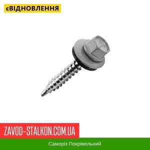 ціна Саморіз Покрівельний по дереву 4,8*35 мм - RAL 7004 Івано-Франківськ