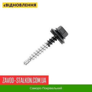 ціна Саморіз Покрівельний по дереву 4,8*35 мм - RAL 7016 Івано-Франківськ