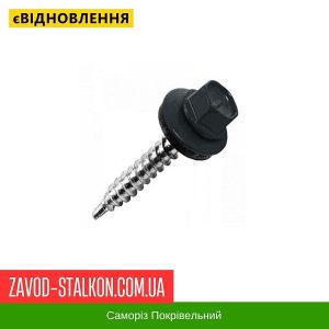 ціна Саморіз Покрівельний по дереву 4,8*35 мм - RAL 7024 Івано-Франківськ