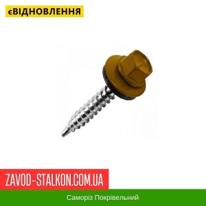 ціна Саморіз Покрівельний по дереву 4,8*35 мм - RAL 8004 Івано-Франківськ