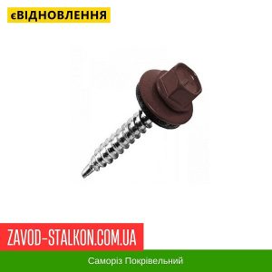 ціна Саморіз Покрівельний по дереву 4,8*35 мм - RAL 8017 Івано-Франківськ