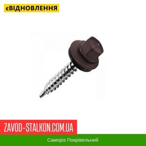 ціна Саморіз Покрівельний по дереву 4,8*35 мм - RAL 8019 Івано-Франківськ