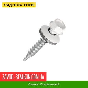 ціна Саморіз Покрівельний по дереву 4,8*35 мм - RAL 9003 Івано-Франківськ