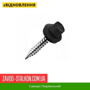 ціна Саморіз Покрівельний по дереву 4,8*35 мм - RAL 9005 Івано-Франківськ