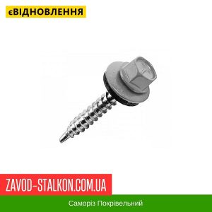 ціна Саморіз Покрівельний по дереву 4,8*35 мм - RAL 9006 Івано-Франківськ
