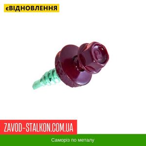 ціна Саморіз по Металу 4,8*19 - RAL 3005 Івано-Франківськ