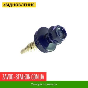 ціна Саморіз по Металу 4,8*19 - RAL 5005 Івано-Франківськ