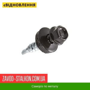 ціна Саморіз по Металу 4,8*19 мм - RAL 8019 Івано-Франківськ