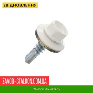 ціна Саморіз по Металу 4,8*19 мм - RAL 9003 Івано-Франківськ