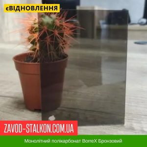 ціна Монолітний полікарбонат BorreX Бронзовий Івано-Франківськ